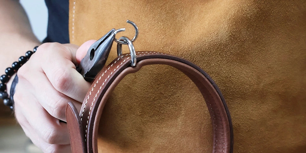 anneau rond collier pour chien