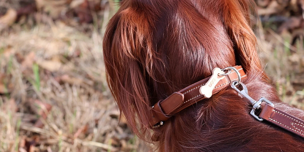 tutoriel fabriquer un collier pour chien en cuir