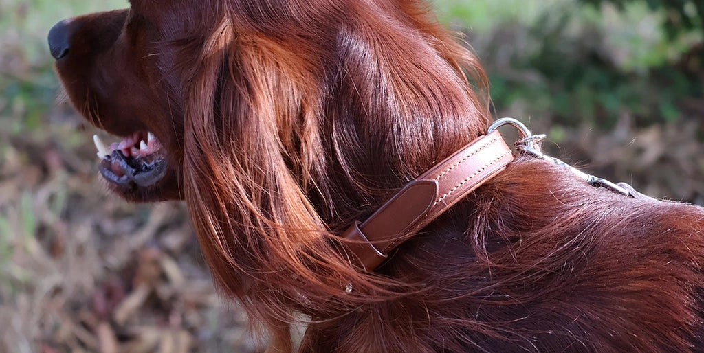 tutoriel fabriquer un collier pour chien en cuir