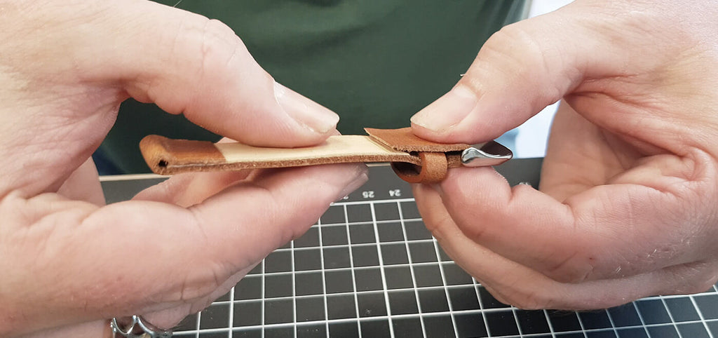 passage ardillon dans l'enchapure