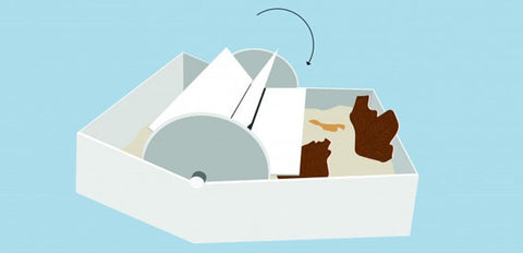 Conseil national du cuir