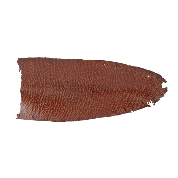 Beaver tail leather - COGNAC P89 - 2nd choice