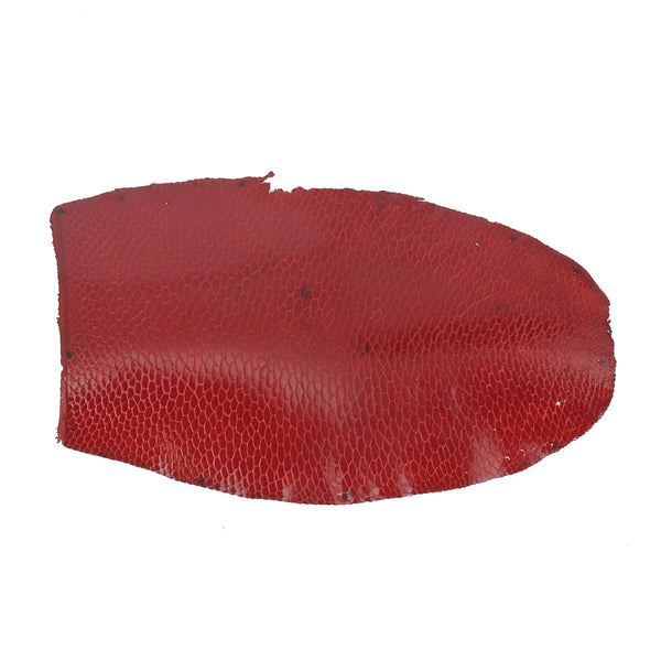 Beaver Tail Leather - RED P91 - 2'choice