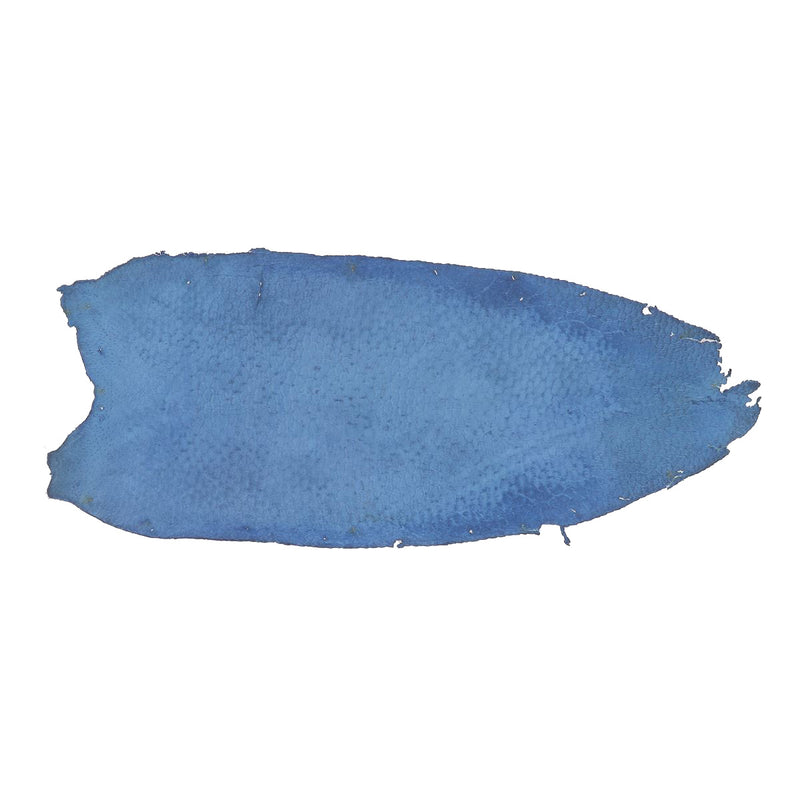 Beaver Tail Leather - BLUE P96 - 2'choice