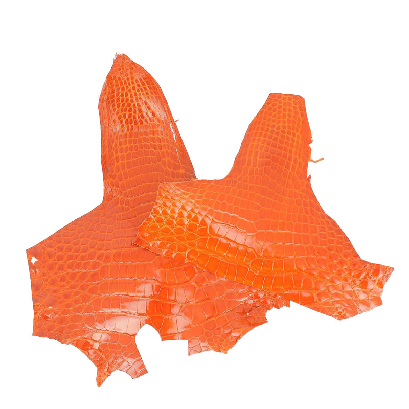 Alligator Head - Bright ORANGE