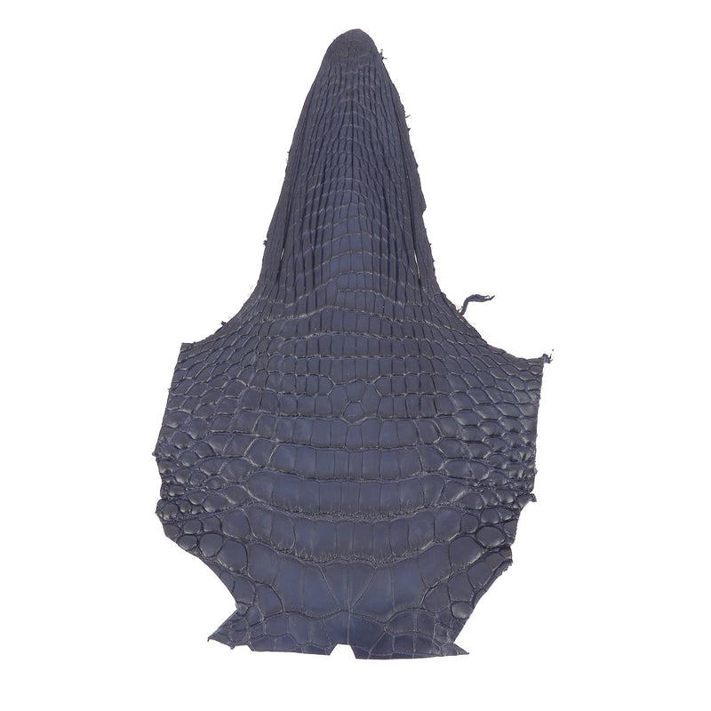 Alligator Head - NAVY BLUE Matte