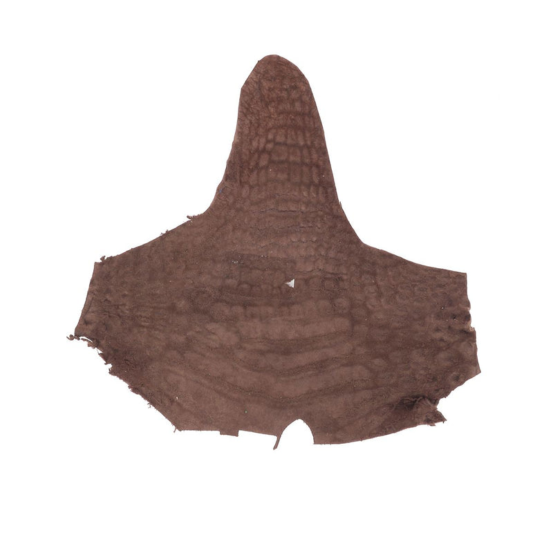 Alligator Head - BROWN Matte