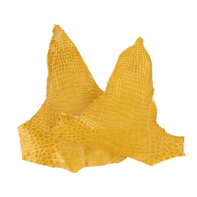 Alligator Head - Glossy MUSTARD YELLOW