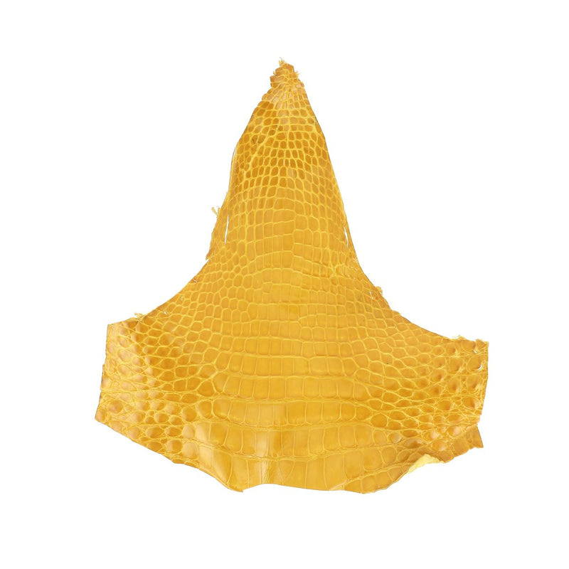 Alligator Head - Glossy MUSTARD YELLOW