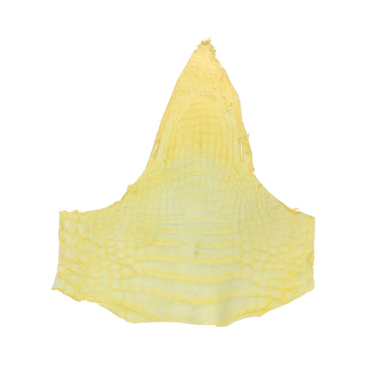 Alligator Head - Glossy MUSTARD YELLOW