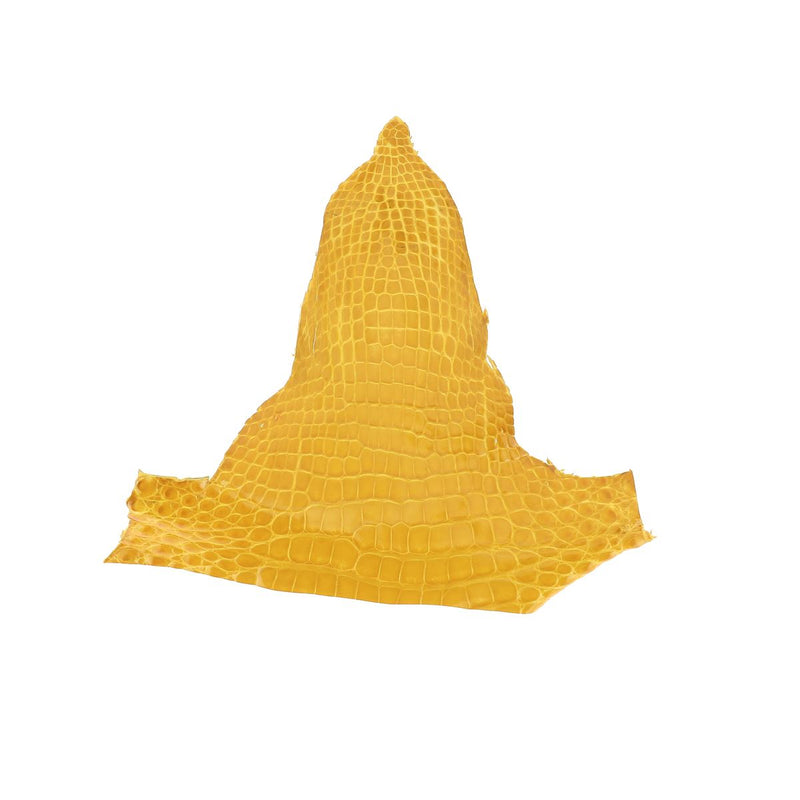 Alligator Head - Glossy MUSTARD YELLOW