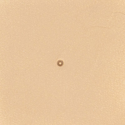 matoir graine repoussage cuir