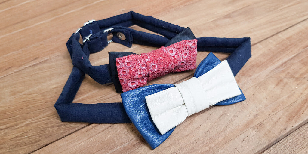 Anleitung für eine Lederfliege