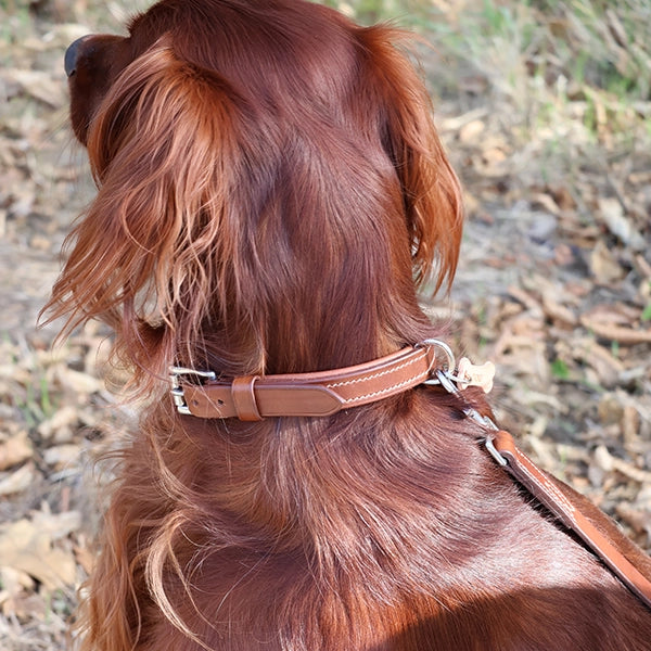 tutoriel fabriquer un collier pour chien en cuir
