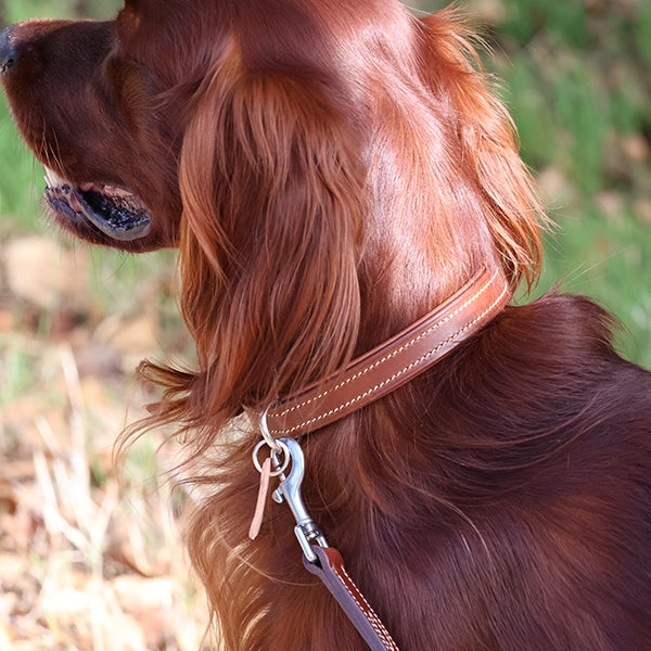 tutoriel fabriquer un collier pour chien en cuir