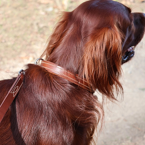tutoriel fabriquer un collier pour chien en cuir
