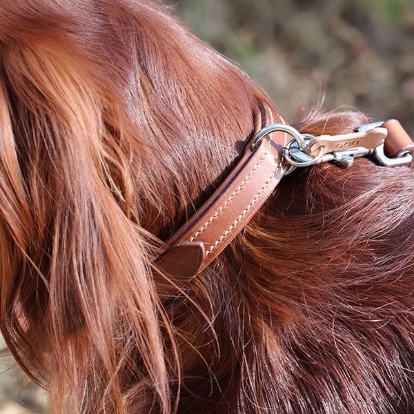 tutoriel fabriquer un collier pour chien en cuir