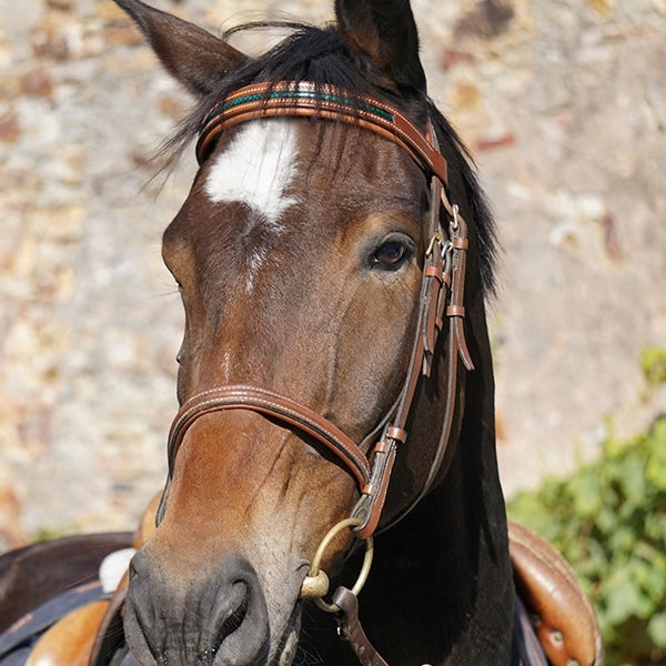 frontal équitation en cuir pour taille cheval