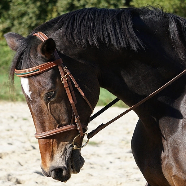 frontal pour cheval en cuir